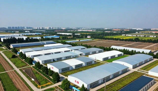 如何高效维护线上平台:网站建设后的日常管理策略